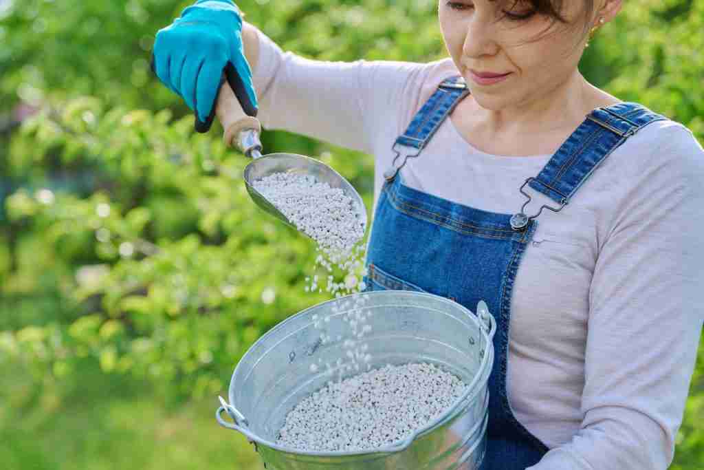 Gardener holding a metal bucket while working in a garden Caption: Small, regular jobs keep a garden easier to manage.